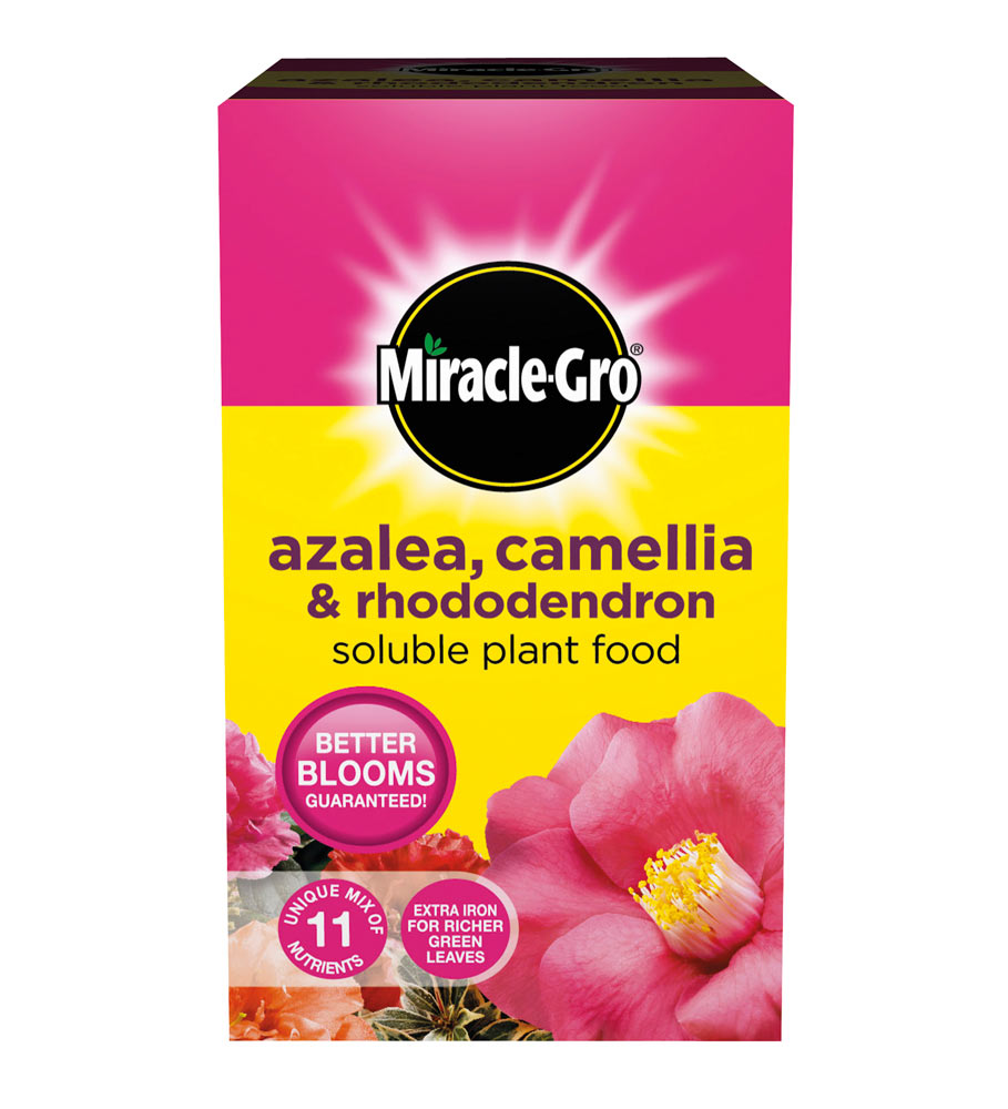 Miracle Gro Azalea Camellia Rhododendron Soluble Plant Food 500g