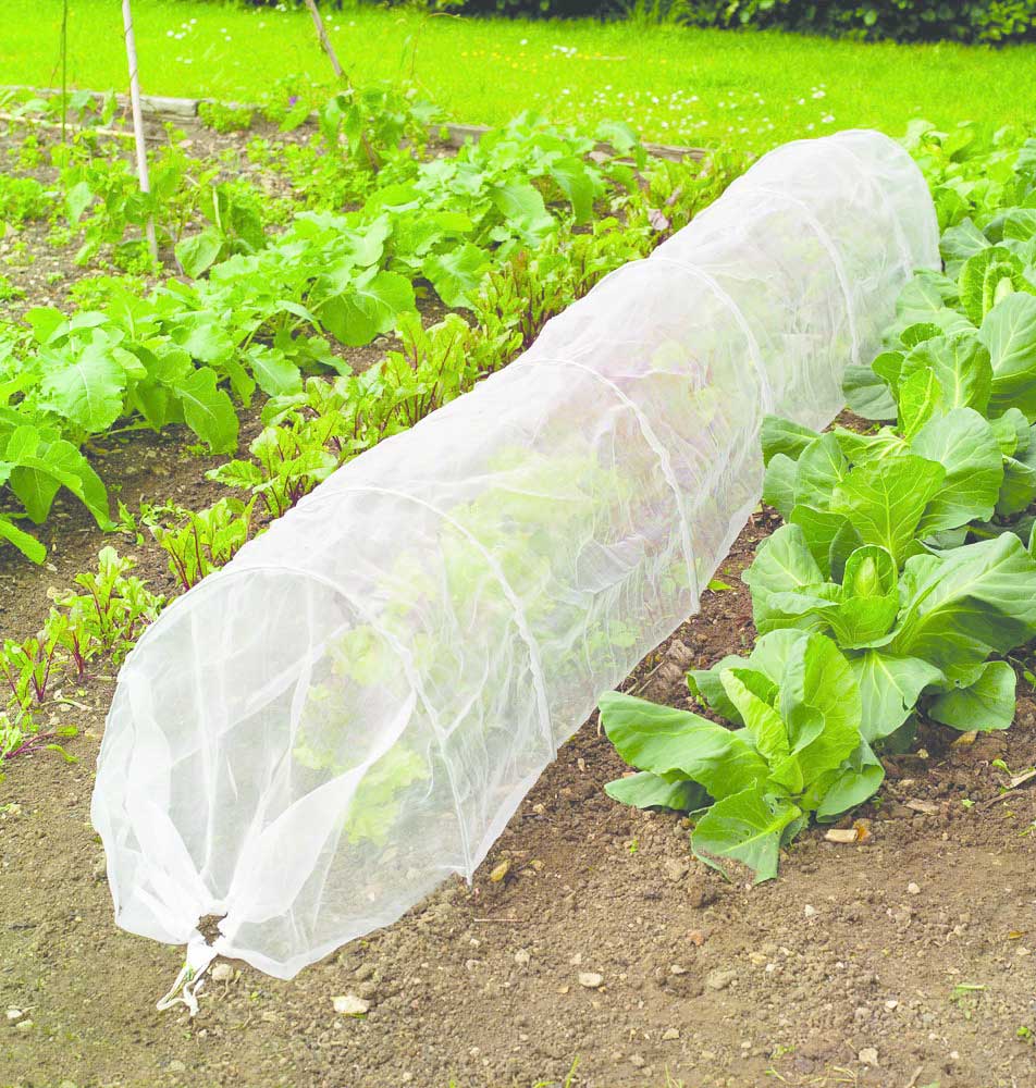 Gardman Grow It Insectgard Plant Protection Mesh Cover (6m